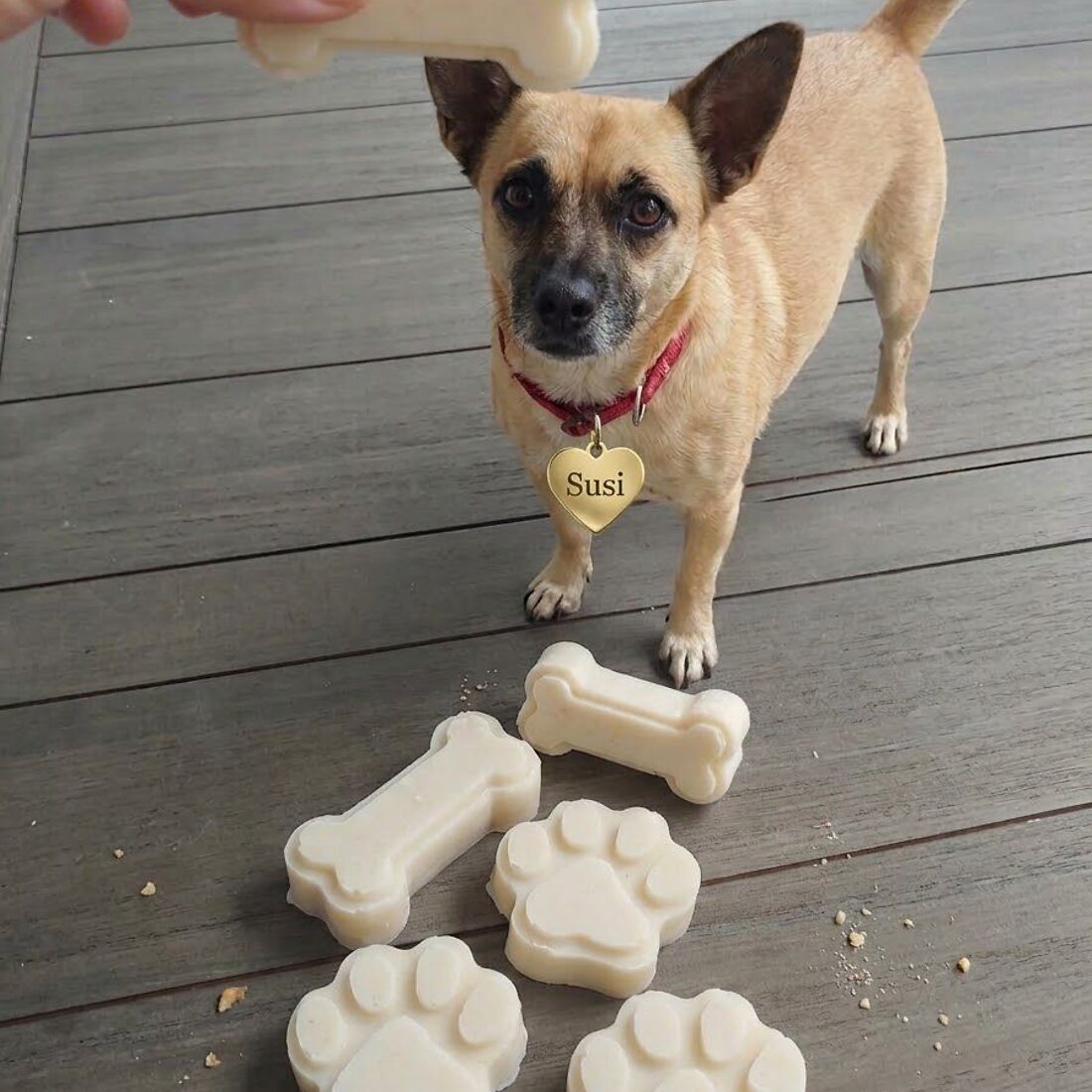 Qué es el Gotcha Day y por qué celebrarlo