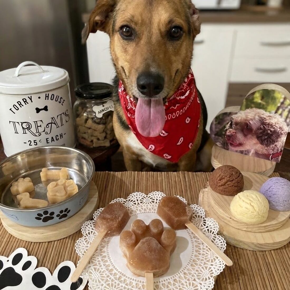 Helados para Perro