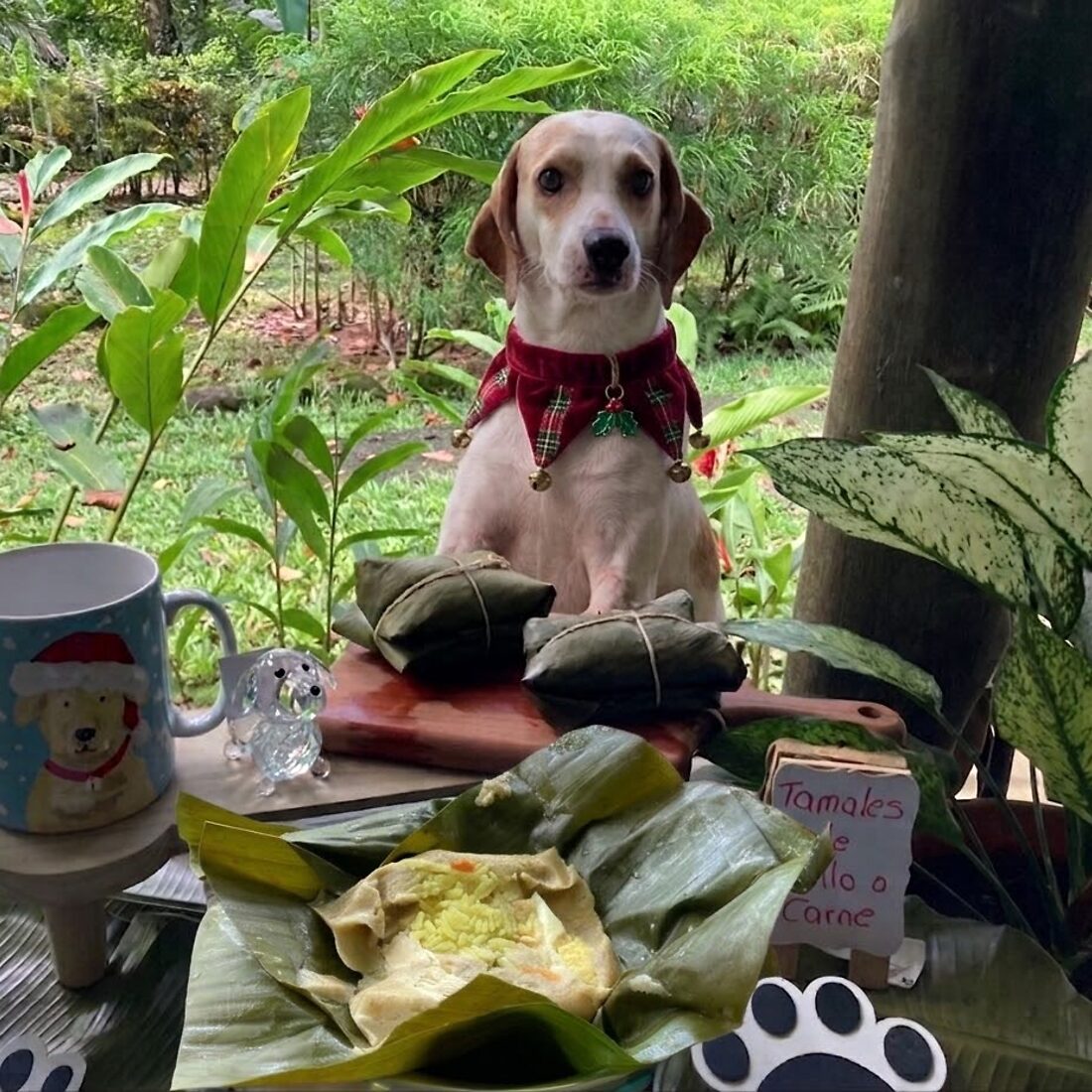 Tamales Perrunos