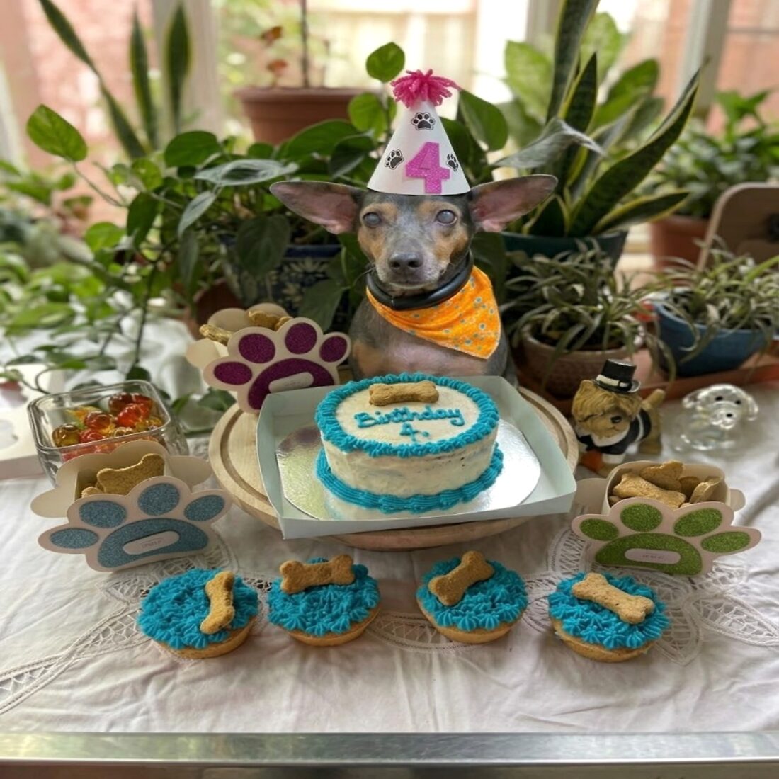 Paquete Guua <em>· la fiesta completa</em>