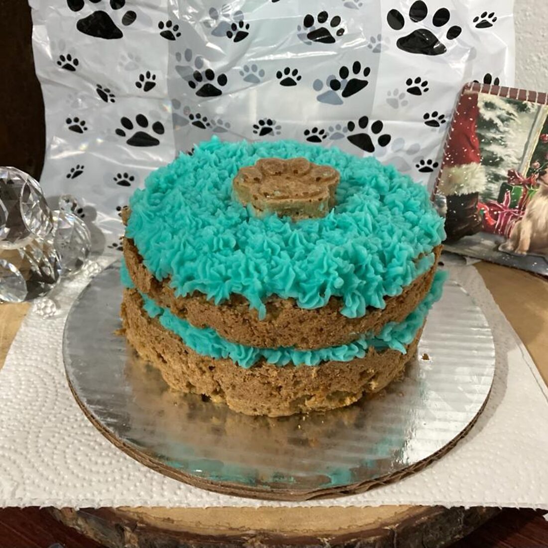 ¿Pueden los perros comer calabaza (ayote)?